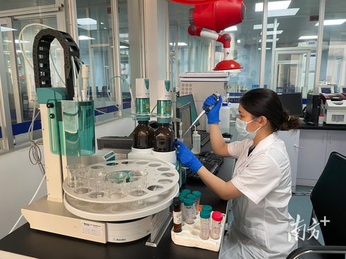 守护舌尖安全的青春防线 湛江海关技术中心食品实验室荣获广东省青年文明号标兵号